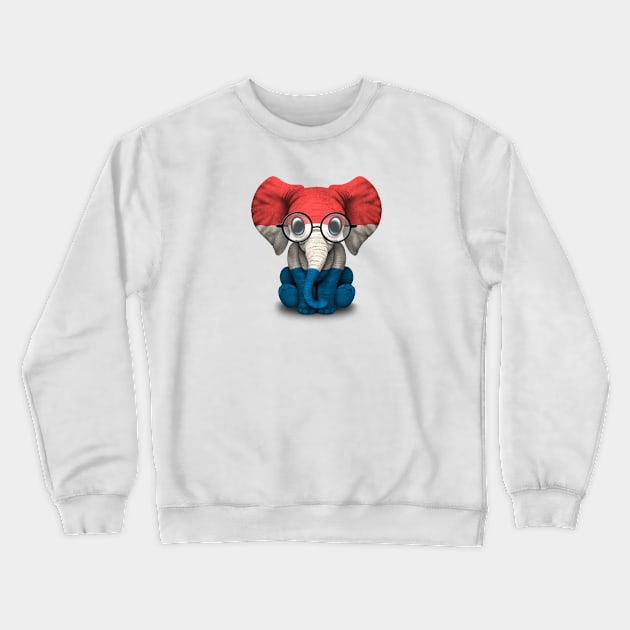 Baby Elephant with Glasses and Dutch Flag Crewneck Sweatshirt by jeffbartels